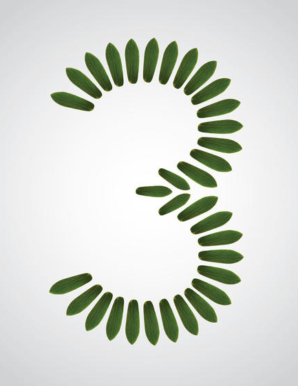 1598062016(1).png